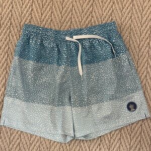 Chubbies Men's The Classic Trunk - 5.5 in